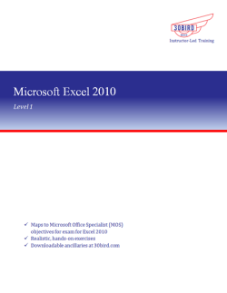 Excel 2010 Level 1