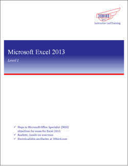 Excel 2013 Level 1