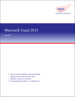 Excel 2013 Level 2