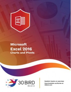 Excel 2016 Charts and Pivots