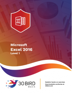 Excel 2016 Level 1