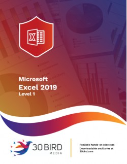 Excel 2019 Level 1