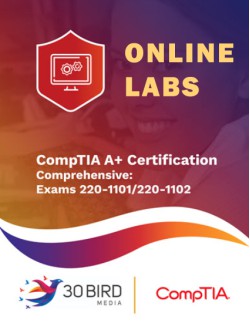 CompTIA A+ Certification Comprehensive: Exams 220-1101 and 220-1102 R1.1 ONLINE LABS