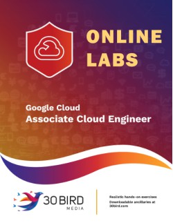 Google Cloud: Associate Cloud Engineer ONLINE LABS